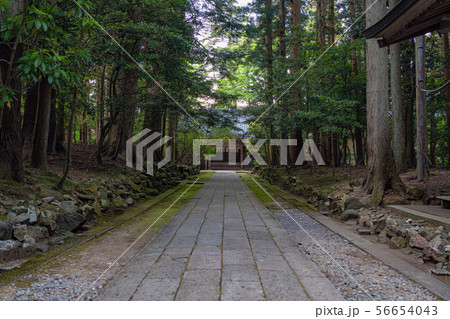 新潟 弥彦神社 斎館と参道 新潟 弥彦神社 斎館と参道 56654043
