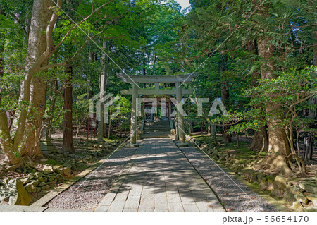 新潟 弥彦神社 摂社末社への参道 56654170