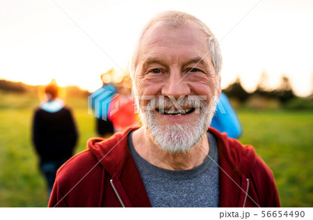 A portrait of senior man with large group of people doing exercise in nature. 56654490