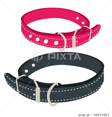 dog collars shop