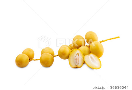 yellow date palm fruit on white background yellow date palm fruit on white background 56656044