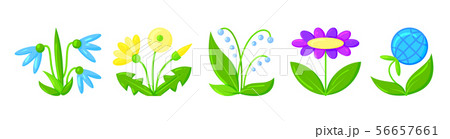 Flower sprout plant green grass flat vector icon Flower sprout plant green grass flat vector icon 56657661