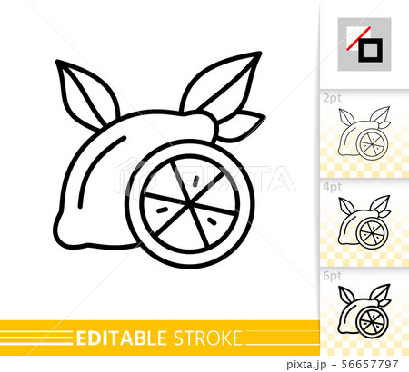 Lemon fruit citrus simple thin line vector icon Lemon fruit citrus simple thin line vector icon 56657797