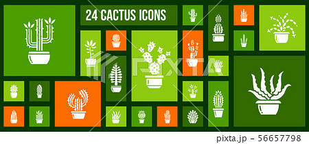 Cactus succulent plant in pot icon vector set 56657798