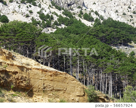 Zarok,sandy area of Baska,island Krk,Croatia 56657924
