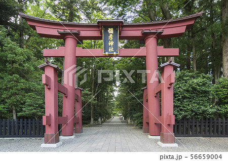 彌彦神社鳥居 彌彦神社鳥居 56659004