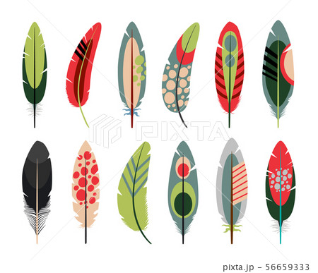 Colorful flat feathers icons set Colorful flat feathers icons set 56659333