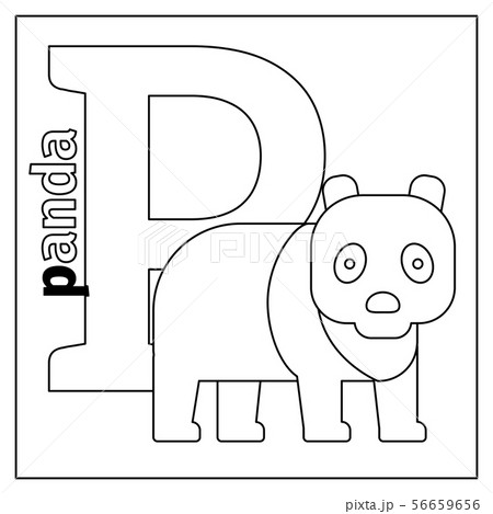 Panda, letter P coloring page Panda, letter P coloring page 56659656