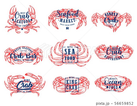 Seafood market, lobster restaurant lettering icons Seafood market, lobster restaurant lettering icons 56659852