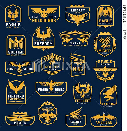 Eagle icons, heraldic badges, corporate identity Eagle icons, heraldic badges, corporate identity 56659863