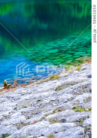 南相木ダム 56661050