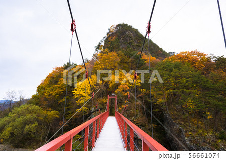 傾城森と山伏森005 56661074