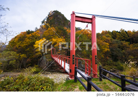 傾城森と山伏森007 56661076