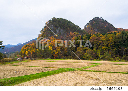 傾城森と山伏森014 56661084