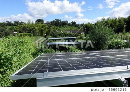 雑草に囲まれた太陽光発電所 雑草に囲まれた太陽光発電所 56661211