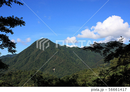 檜洞丸への登山道(東沢付近)から西側に見える権現山 檜洞丸への登山道(東沢付近)から西側に見える権現山 56661417