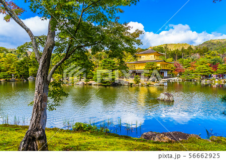 Beautiful Kinkakuji temple with golden pavillion in Kyoto japan Beautiful Kinkakuji temple with golden pavillion in Kyoto japan 56662925