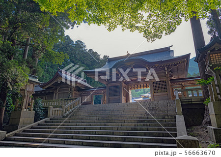 新潟 弥彦神社 随神門 56663670