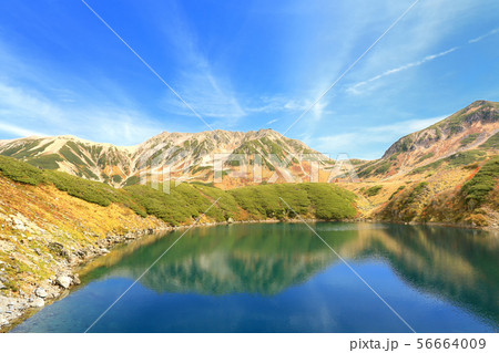 紅葉の立山連峰とみくりが池 紅葉の立山連峰とみくりが池 56664009