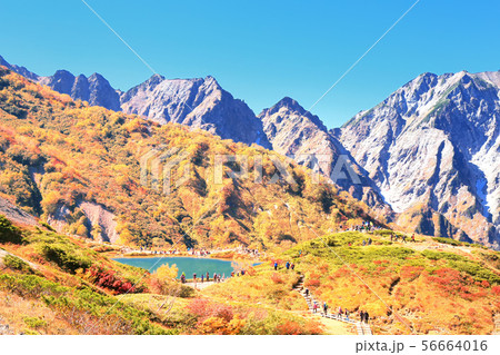 紅葉の八方池と不帰の剣 56664016