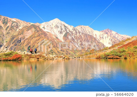 紅葉の八方池と白馬三山 紅葉の八方池と白馬三山 56664020