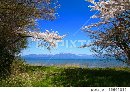 春の猪苗代湖と磐梯山(郡山市・湖南町) 春の猪苗代湖と磐梯山(郡山市・湖南町) 56665055