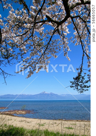 春の猪苗代湖と磐梯山(郡山市・湖南町) 春の猪苗代湖と磐梯山(郡山市・湖南町) 56665057