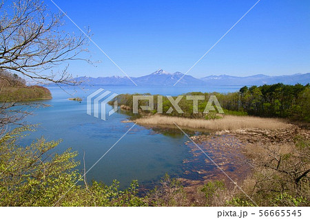 春の猪苗代湖と磐梯山（郡山市・湖南町） 56665545