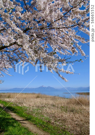 春の猪苗代湖と磐梯山(郡山市・湖南町) 春の猪苗代湖と磐梯山(郡山市・湖南町) 56665552