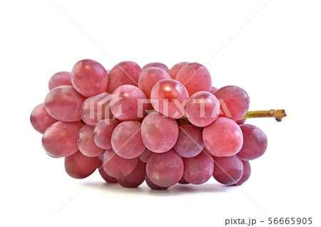 ぶどう(サニールージュ) ぶどう(サニールージュ) 56665905