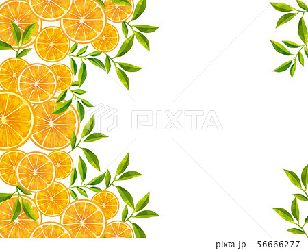 果物 オレンジと葉っぱのイラスト素材