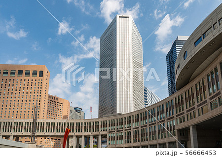 都議会議事堂と西新宿ビルディング 都議会議事堂と西新宿ビルディング 56666453