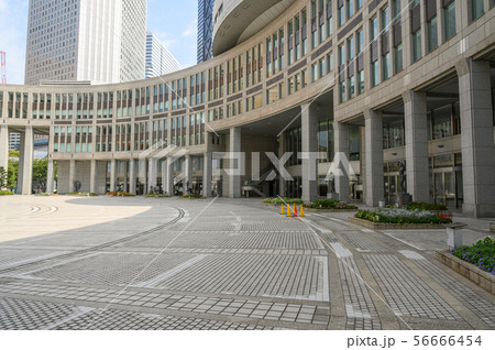 都議会議事堂と西新宿ビルディング 都議会議事堂と西新宿ビルディング 56666454