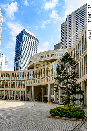 都議会議事堂と西新宿ビルディング 都議会議事堂と西新宿ビルディング 56666457