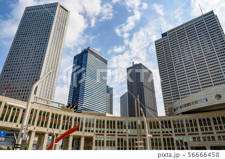都議会議事堂と西新宿ビルディング 都議会議事堂と西新宿ビルディング 56666458