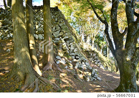 宍粟市　長水城　本丸と石垣 56667031