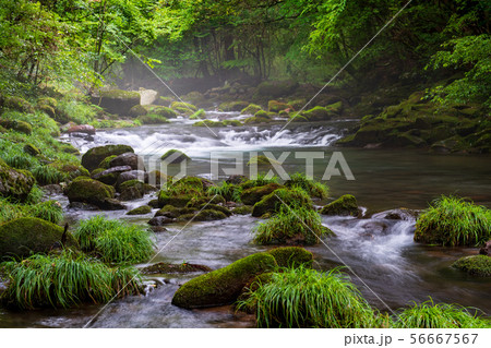 風景 風景 56667567