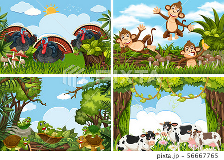 Set Of Various Animals In Nature Scenesのイラスト素材