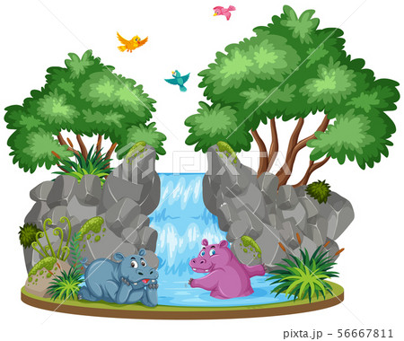 Background scene of two hippo by the waterfall 56667811