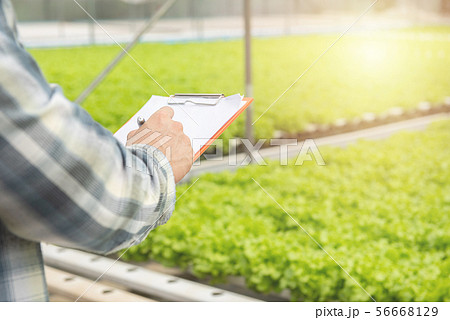 Close Up asian man hands holding paper documents Close Up asian man hands holding paper documents 56668129