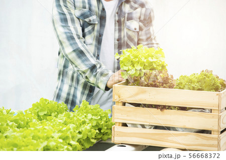 Asian man farmer holding wicker basket with fresh 56668372