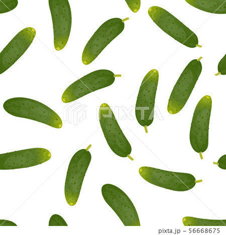 Seamless pattern background with cucumbers. Seamless pattern background with cucumbers. 56668675