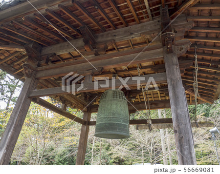 秋の醍醐寺 秋の醍醐寺 56669081