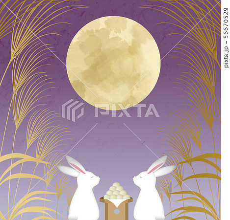 十五夜 うさぎとお団子とすすきと満月のイラスト素材 56670529 Pixta