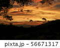初夏の夕暮れ 56671317