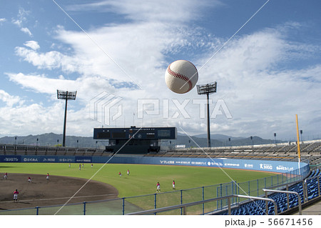 ボールとバックスクリーン 56671456