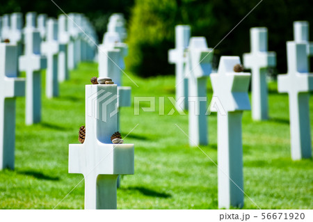 Normandy American Cemetery and Memorial, 56671920