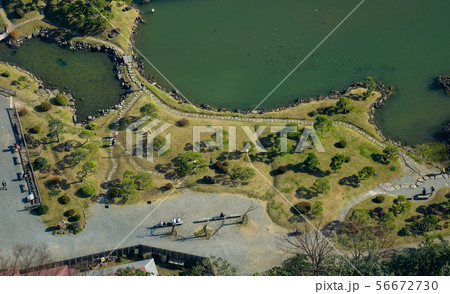 Aerial view of city park at downtown Aerial view of city park at downtown 56672730