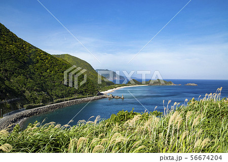 奄美大島　 戸円ふれあいパークから見た海の風景 56674204