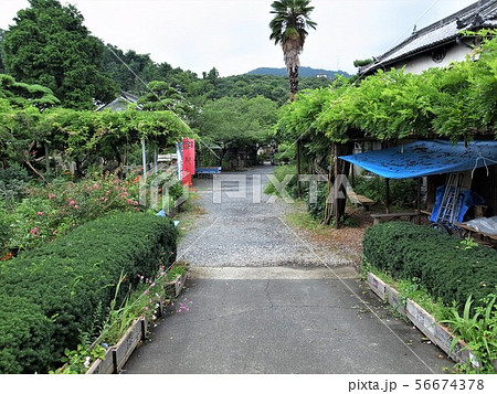 真田庵 紀州 九度山町 真田庵 紀州 九度山町 56674378